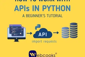 How to Work with APIs in Python: A Beginner's Tutorial