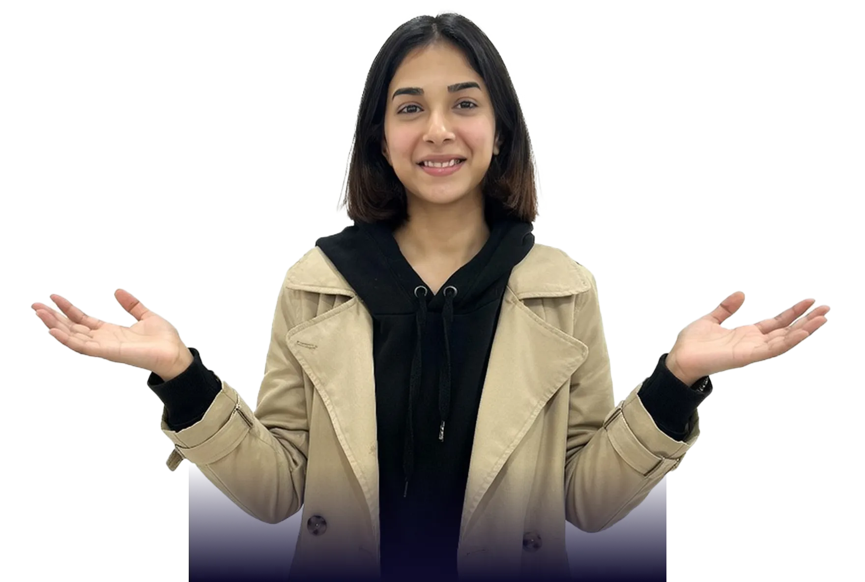 Web design professional